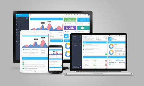 Web App Development service